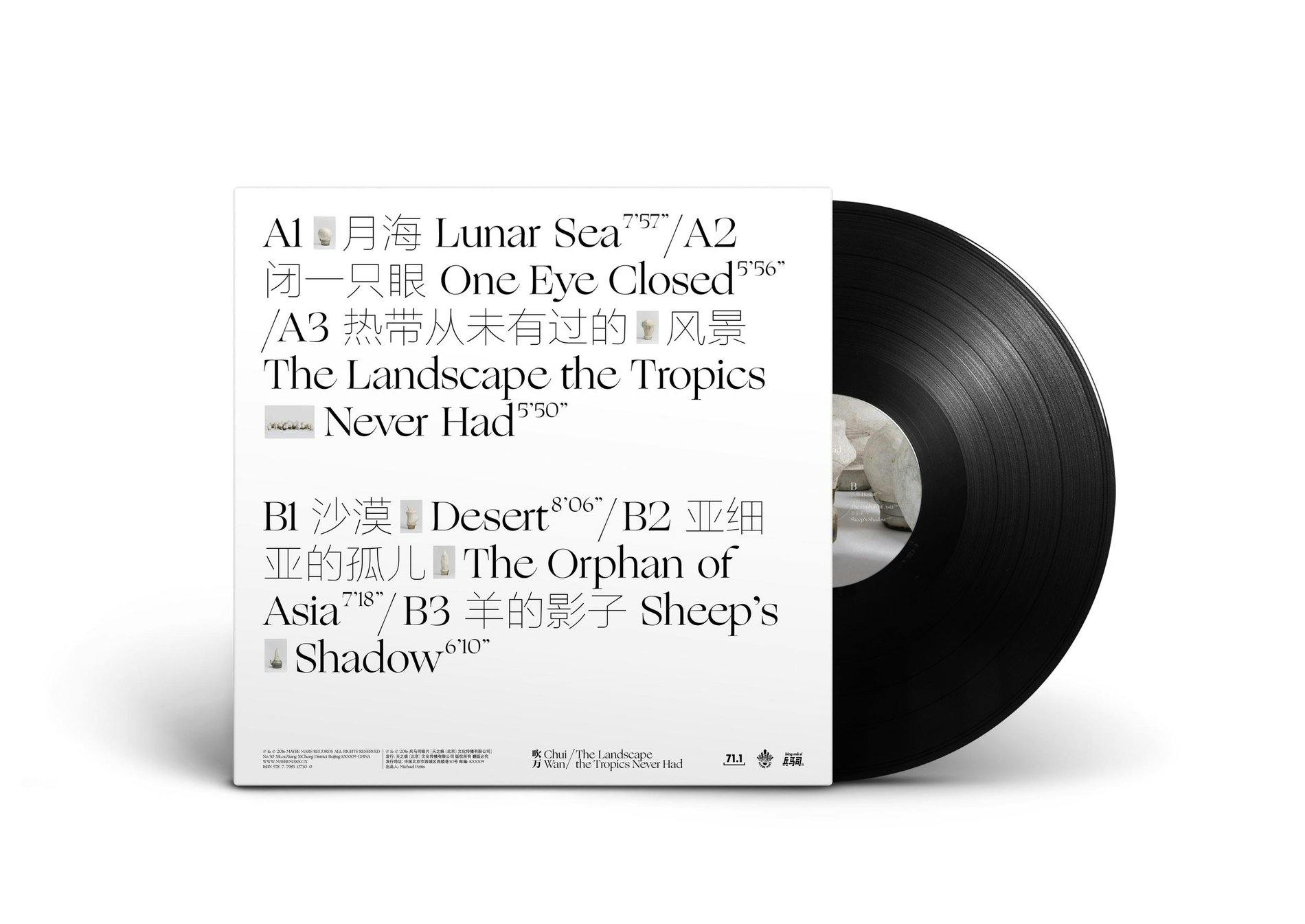 Ogg-ChuiWan_Vinyl_Back_MockUp.jpg