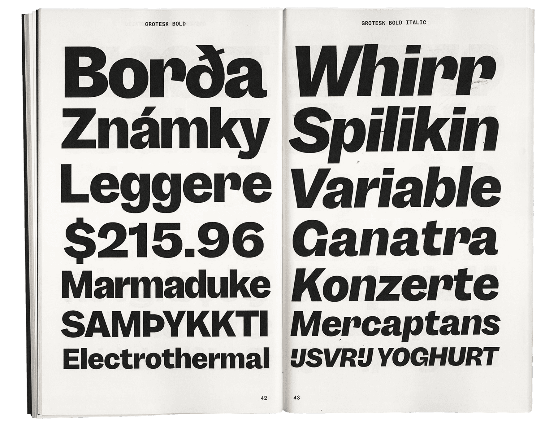 Garnett-thesis-grotesk