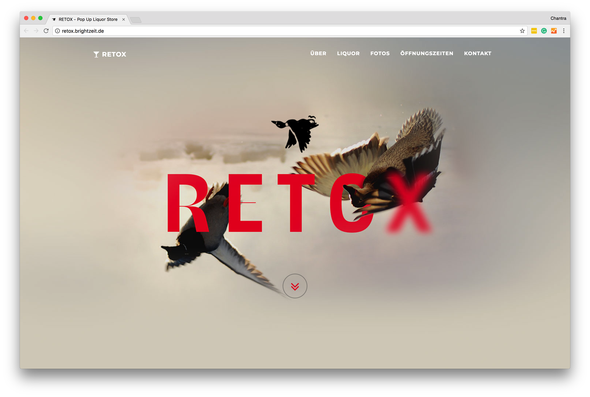 Retox Website- Beatrice Display